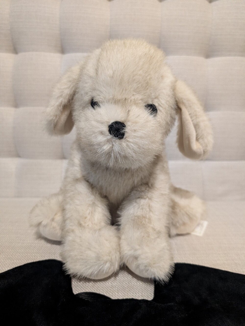 Pottery Barn Beau The Bat Puppy Pillow - Picture 9 of 10